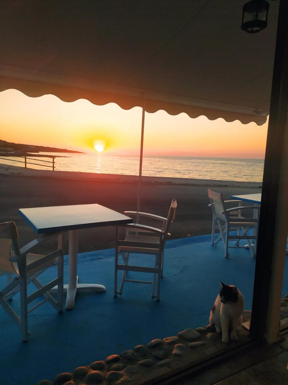 Meltemi Beach Apartments Mílatosz Kültér fotó