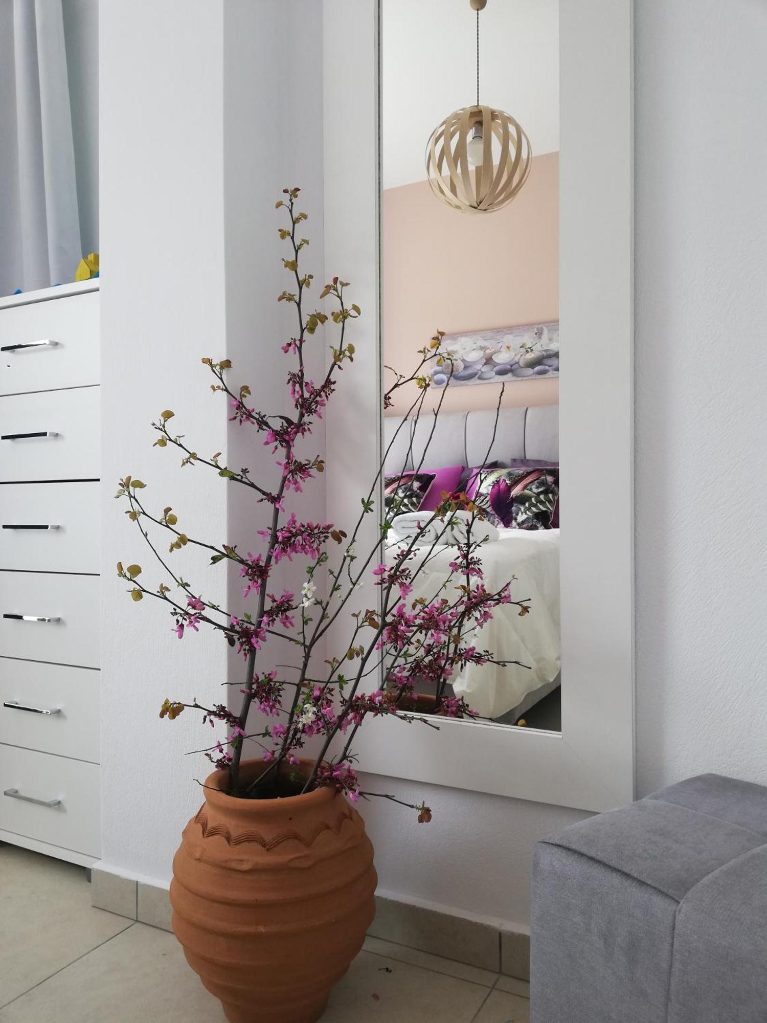 Meltemi Beach Apartments Mílatosz Kültér fotó